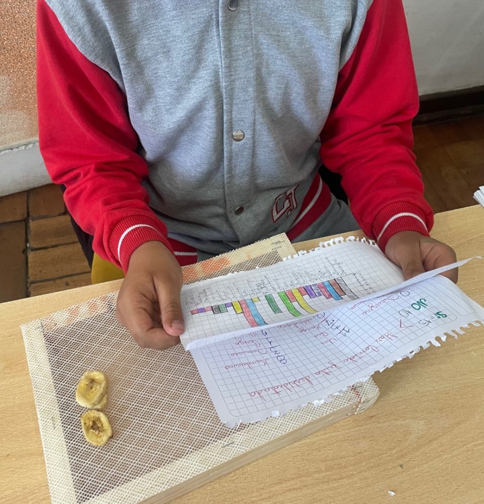 Creativo proyecto busca mejorar las convivencias en curso de Colegio Japón elaborando una barrita de snack saludable