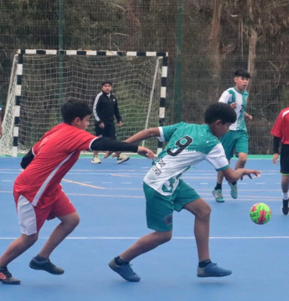 Juegos Deportivos Escolares: programó su competencia provincial de balonmano en la región de Coquimbo