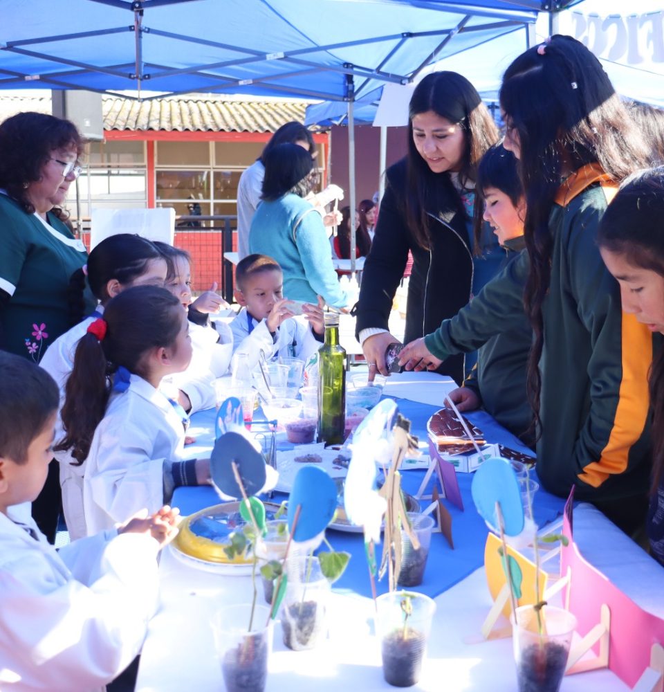 Escolares del SLEP Puerto Cordillera dan a conocer sus proyectos en ciencias, tecnologías e innovación