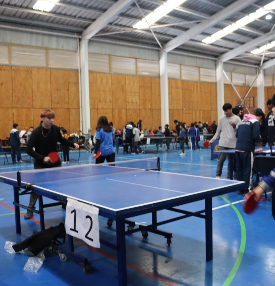 Liga de tenis de mesa marcan el retorno de actividades integrales del Servicio Local de Educación Puerto Cordillera