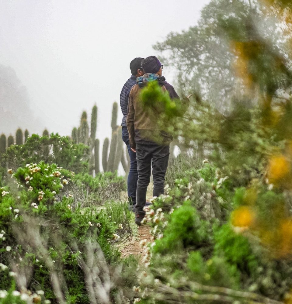 Región se suma a tendencia mundial e intensifica oferta de turismo sustentable y circular