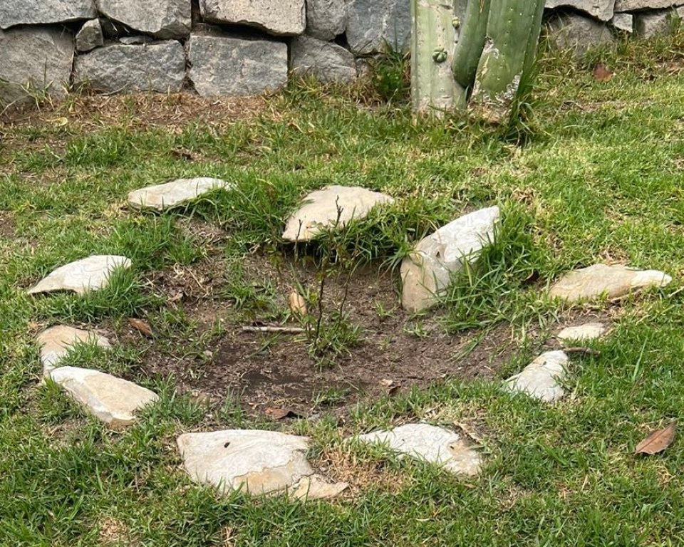 PDI incautó 150 fósiles en un domicilio de Coquimbo que mantenían como ornamentación de un jardín