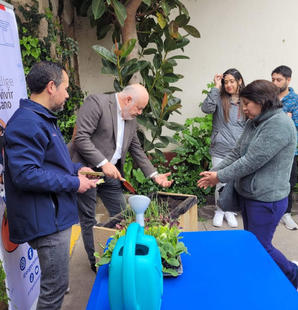 Proyecto de Elige Vivir Sano permite a personas cuidadoras realizar cultivos en sus hogares con fines terapéuticos